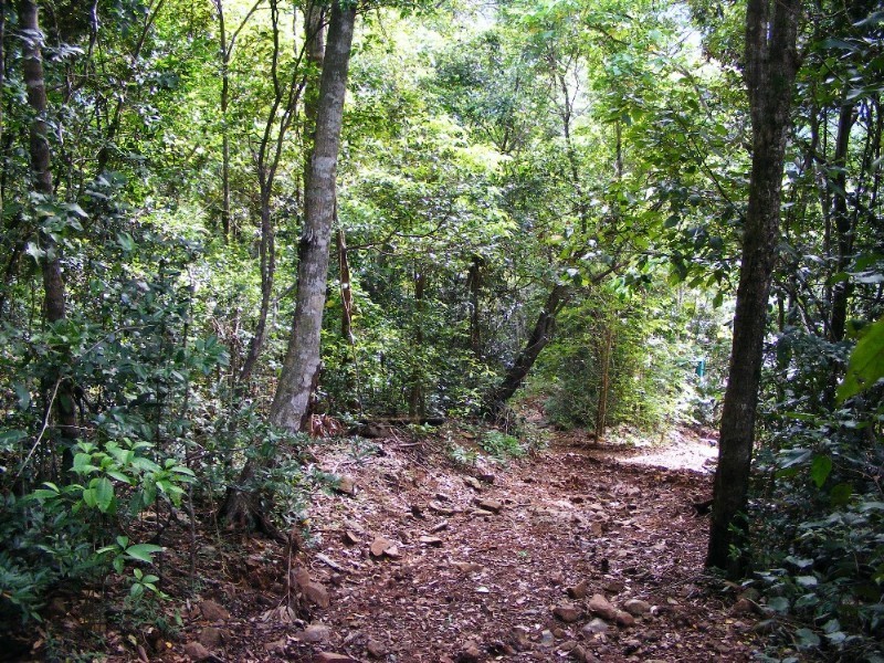Lot 7 Timberland Road, Jubilee Pocket QLD 4802