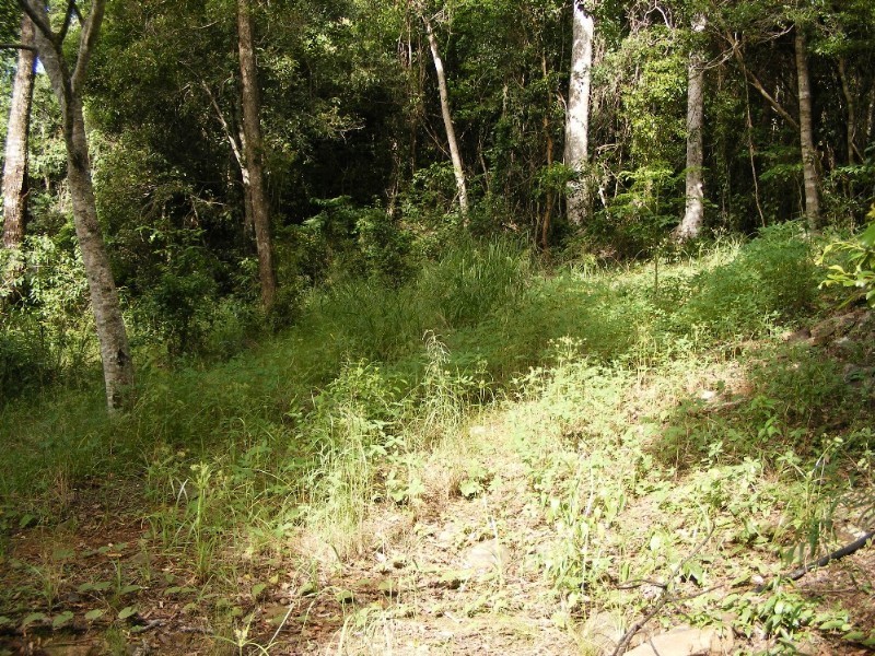 Lot 7 Timberland Road, Jubilee Pocket QLD 4802
