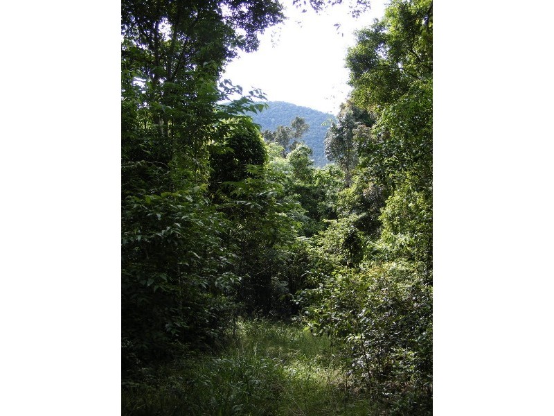 Lot 7 Timberland Road, Jubilee Pocket QLD 4802