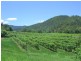 287 Patullo Road, Whitsundays QLD 4802