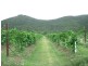 287 Patullo Road, Whitsundays QLD 4802