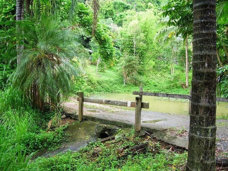 68 Domenica Road, Sugarloaf QLD 4800