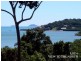 Lots 1-6 Mandalay Road, Airlie Beach QLD 4802