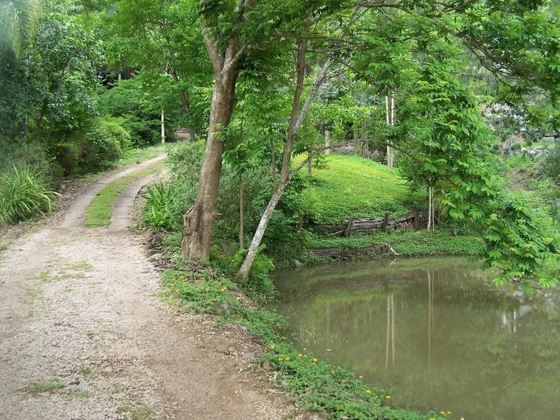 68 Domenica Road, Sugarloaf QLD 4800