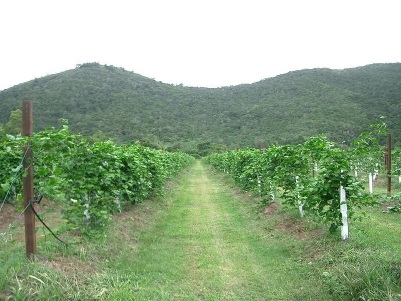 287 Patullo Road, Whitsundays QLD 4802