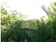 Airlie Beach QLD 4802