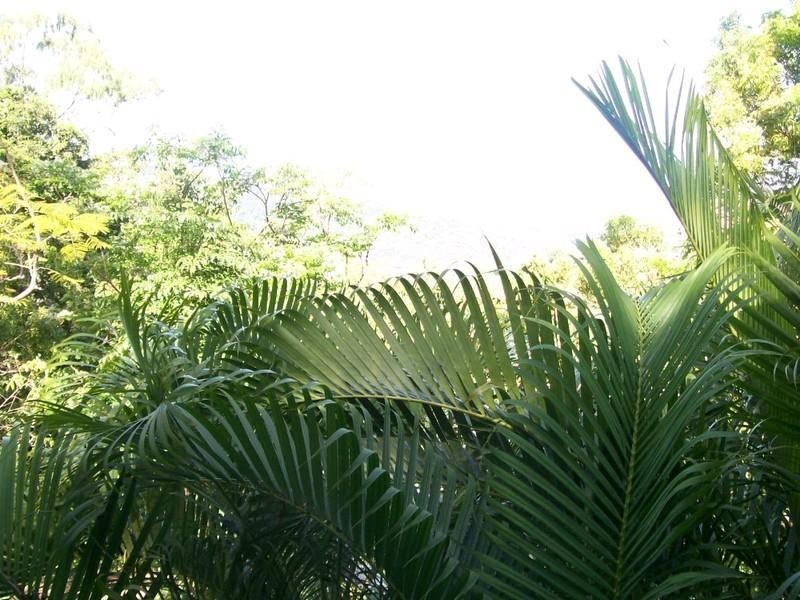 Airlie Beach QLD 4802