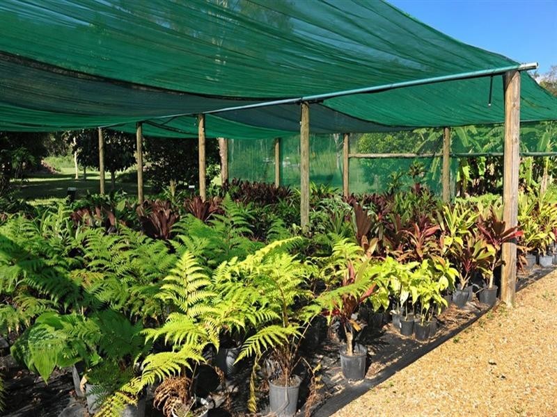 848 Conway Road, Conway QLD 4800