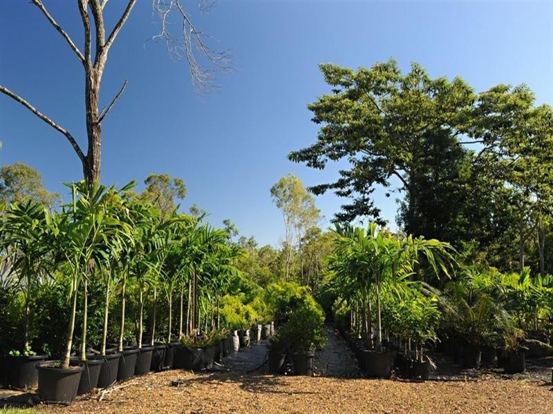 848 Conway Road, Conway QLD 4800