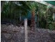 310 Mandalay, Jubilee Pocket QLD 4802
