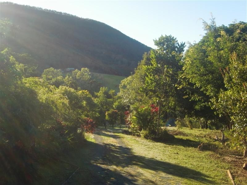 29 Caprioglio Road, Conway QLD 4800