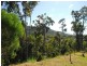 51 Kingfisher Terrace, Jubilee Pocket QLD 4802