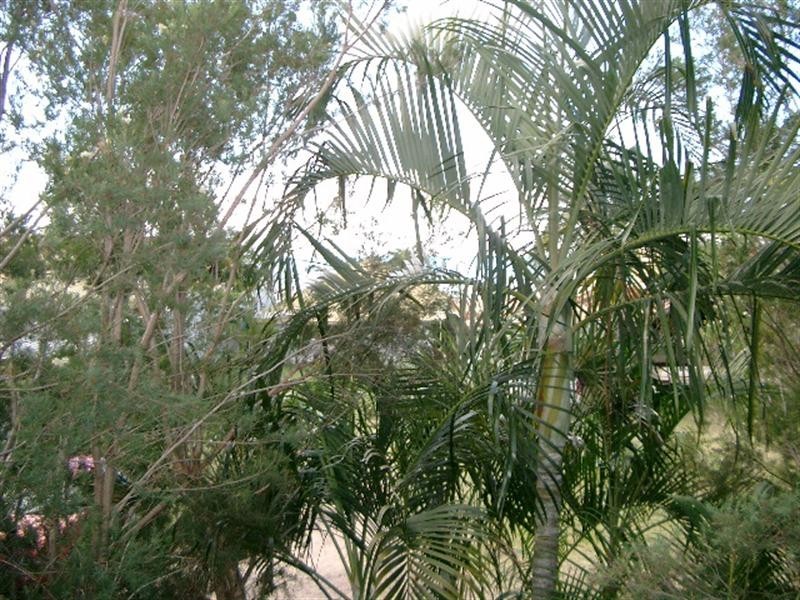 5/9 Salmon Street, Cannonvale QLD 4802