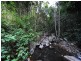 28 Eshelby Drive, Cannonvale QLD 4802
