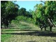 Lot 2 Pringle Road, Cannonvale QLD 4802