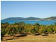 Lot 2 Pringle Road, Cannonvale QLD 4802