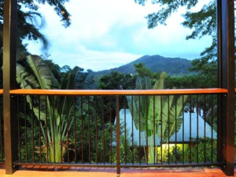 3/9 Cedar Court, Jubilee Pocket QLD 4802