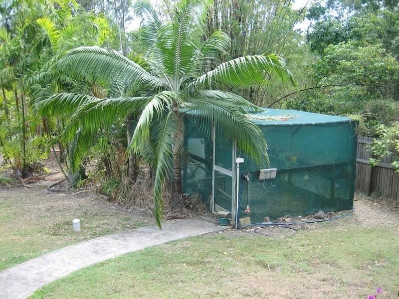 67 Parkwood Terrace, Cannonvale QLD 4802