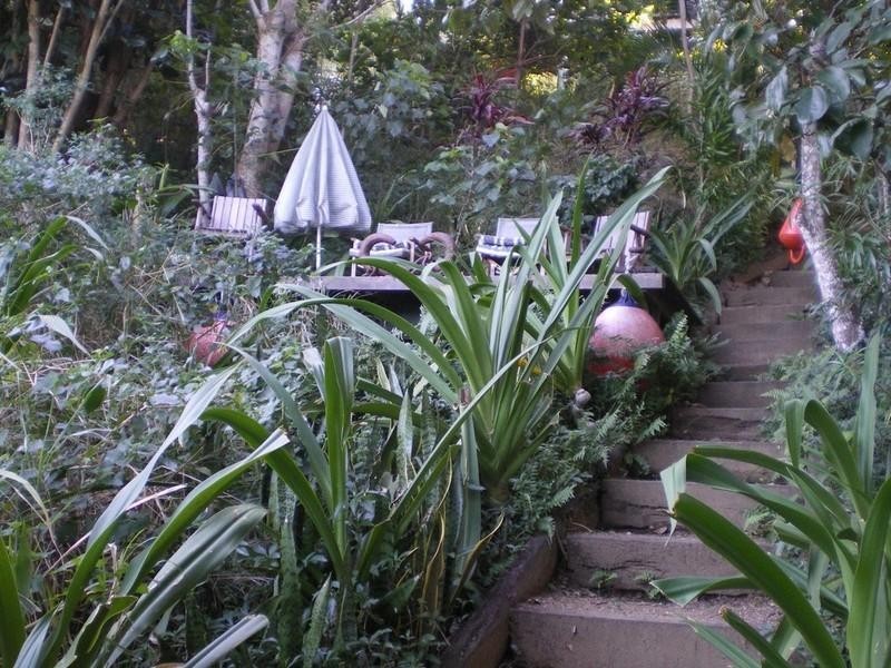 4 Harbour Avenue, Shute Harbour QLD 4802