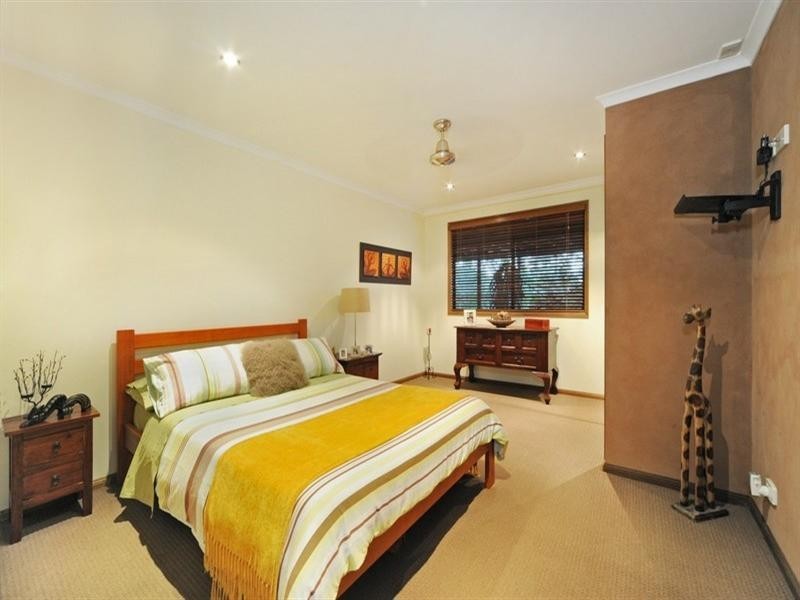 462 Sugarloaf Road, Riordanvale QLD 4800