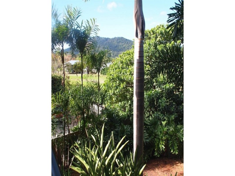 4/11 Maeva Street, Jubilee Pocket QLD 4802