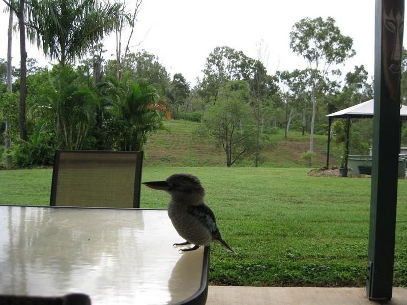 44 Lelona Drive, Bloomsbury QLD 4799