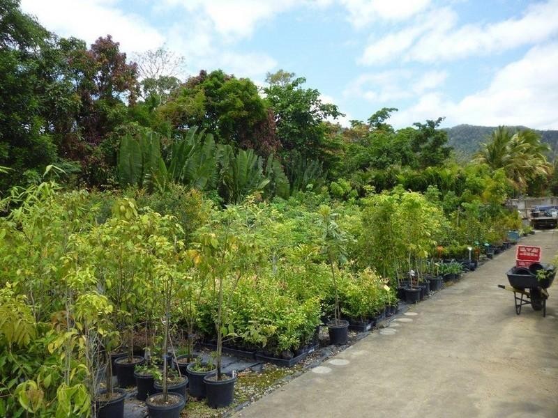 1697 Shute Harbour Road, Cannonvale QLD 4802