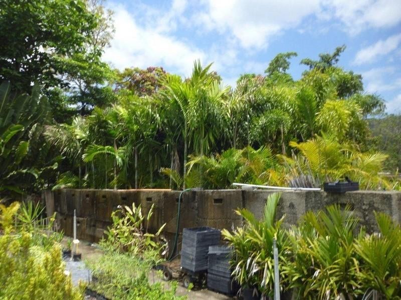 1697 Shute Harbour Road, Cannonvale QLD 4802