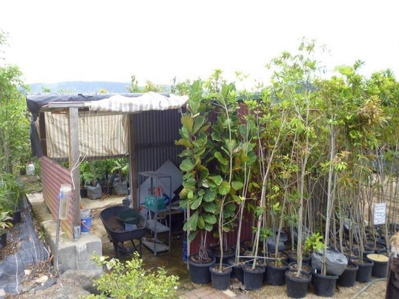 1697 Shute Harbour Road, Cannonvale QLD 4802