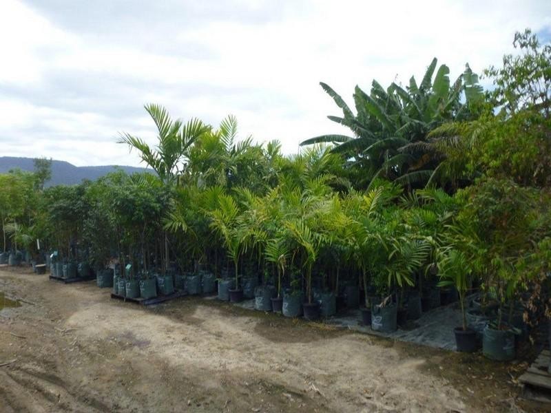 1697 Shute Harbour Road, Cannonvale QLD 4802