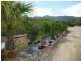 1697 Shute Harbour Road, Cannonvale QLD 4802