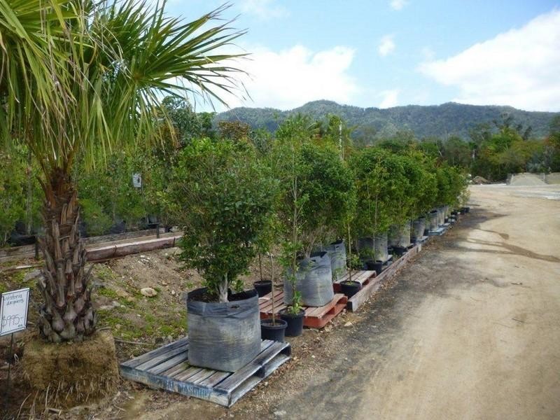 1697 Shute Harbour Road, Cannonvale QLD 4802