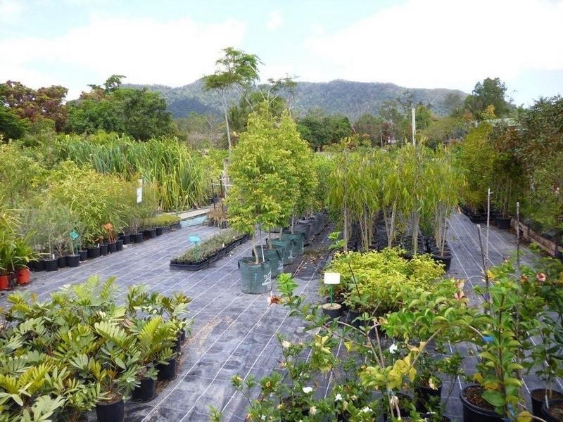 1697 Shute Harbour Road, Cannonvale QLD 4802
