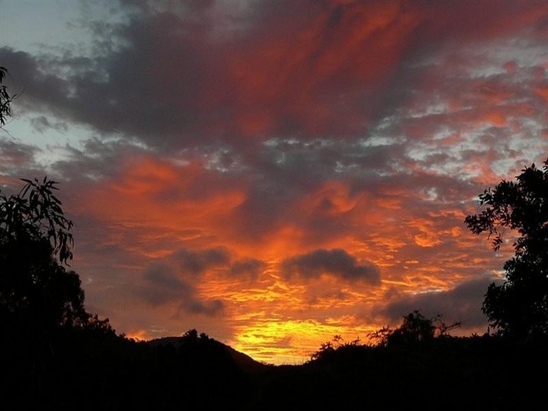 20 Wildlife Road, Jubilee Pocket QLD 4802