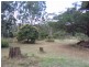 181A Paluma Road, Cannonvale QLD 4802