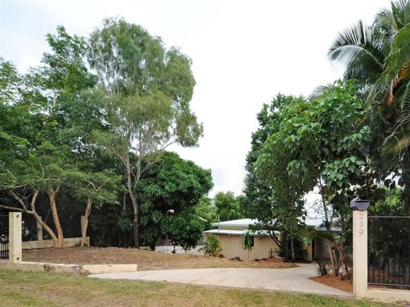 239 Shute Harbour Road, Airlie Beach QLD 4802