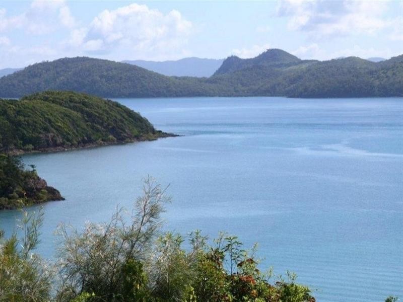 8 Passage Avenue, Shute Harbour QLD 4802