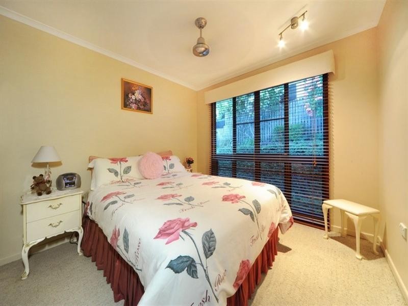 19 Country Road, Cannonvale QLD 4802