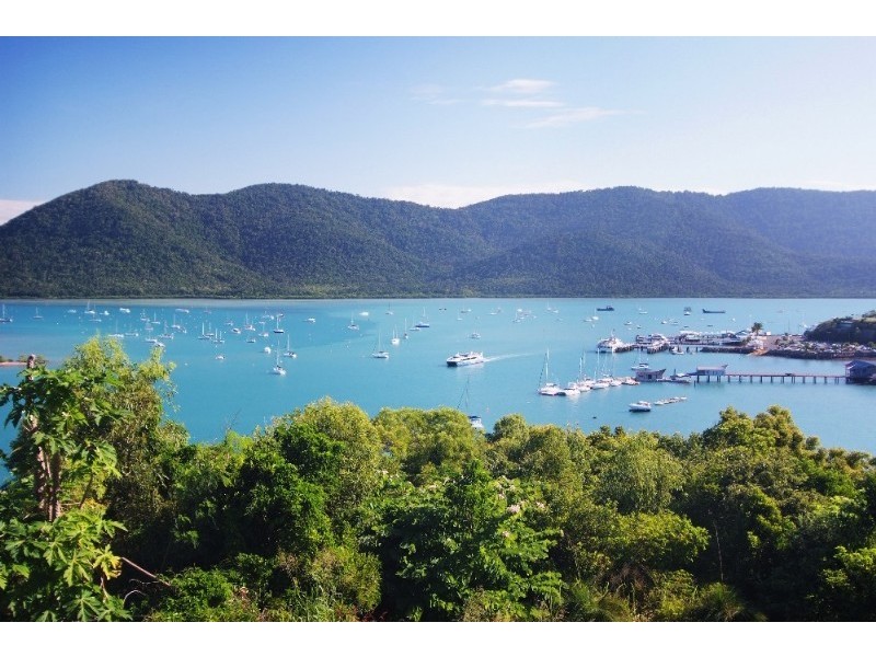 44 Harbour Avenue, Shute Harbour QLD 4802