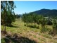 Lot 5 Plantation Drive, Jubilee Pocket QLD 4802