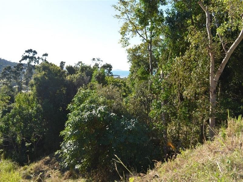 24 Curlew Court, Jubilee Pocket QLD 4802