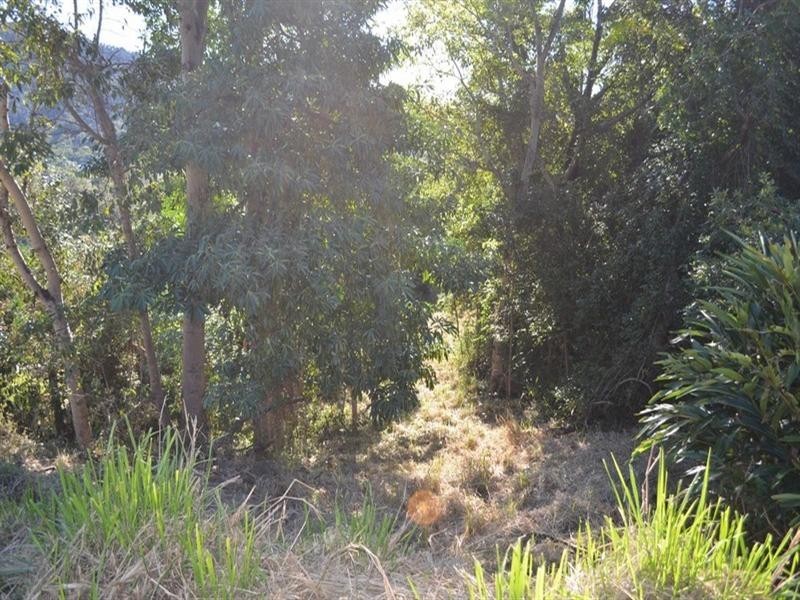 24 Curlew Court, Jubilee Pocket QLD 4802