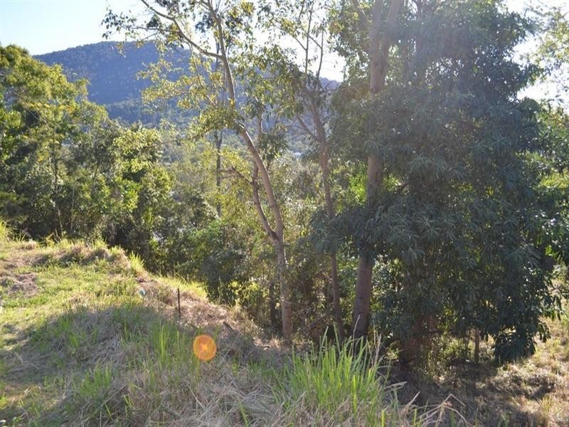 24 Curlew Court, Jubilee Pocket QLD 4802