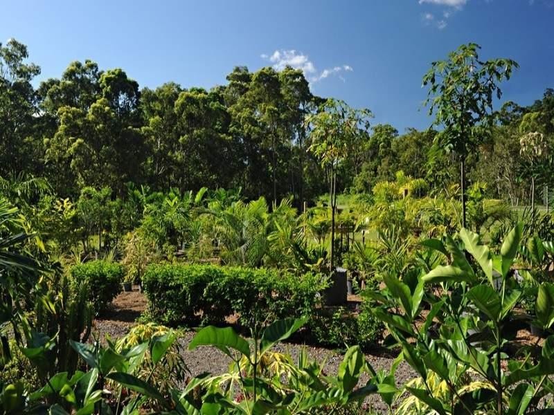 848 Conway Road, Conway QLD 4800