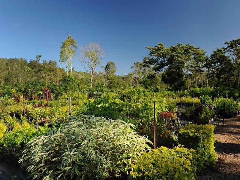 848 Conway Road, Conway QLD 4800