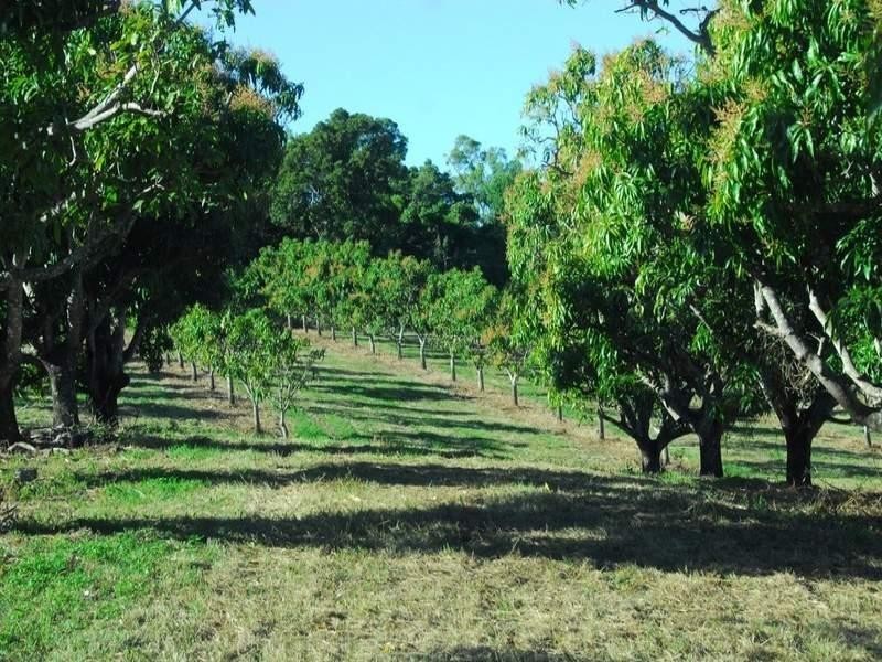 Lot 2 Pringle Road, Cannonvale QLD 4802