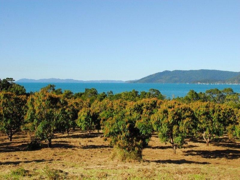 Lot 2 Pringle Road, Cannonvale QLD 4802