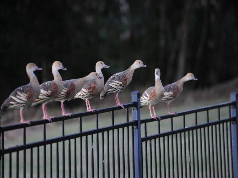 14 Waite Creek Court, Cannonvale QLD 4802