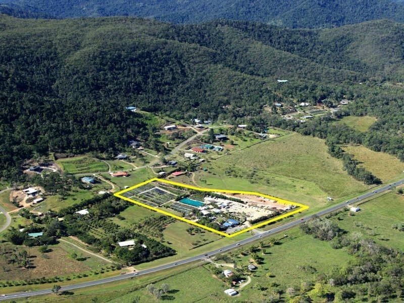 1464 Shute Harbour Road, Cannonvale QLD 4802