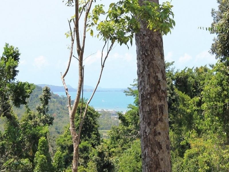 Lot 9/89 Timberland Road, Jubilee Pocket QLD 4802